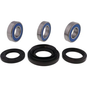Honda TRX350FE Wheel Bearing Kit - Rear - All Balls Racing - High-Speed Bearings ABEC 3 - `00-`06 Honda TRX350FE Wheel Bearing Kit - Rear - All Balls Racing - High-Speed Bearings ABEC 3 - `00-`06